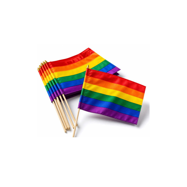 1 Grand Drapeau Rainbow Pride 45x30 cm